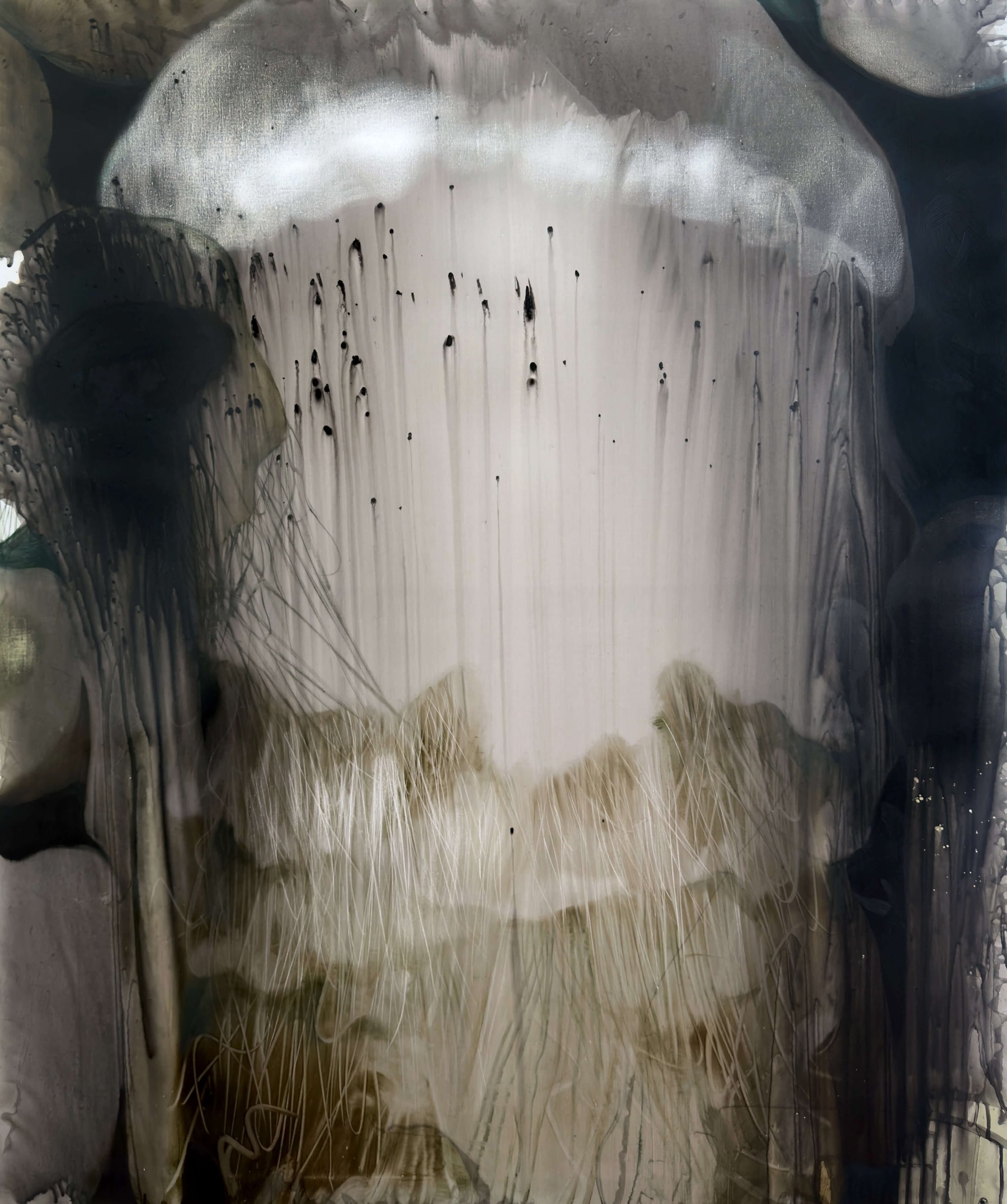 Jellyfish
