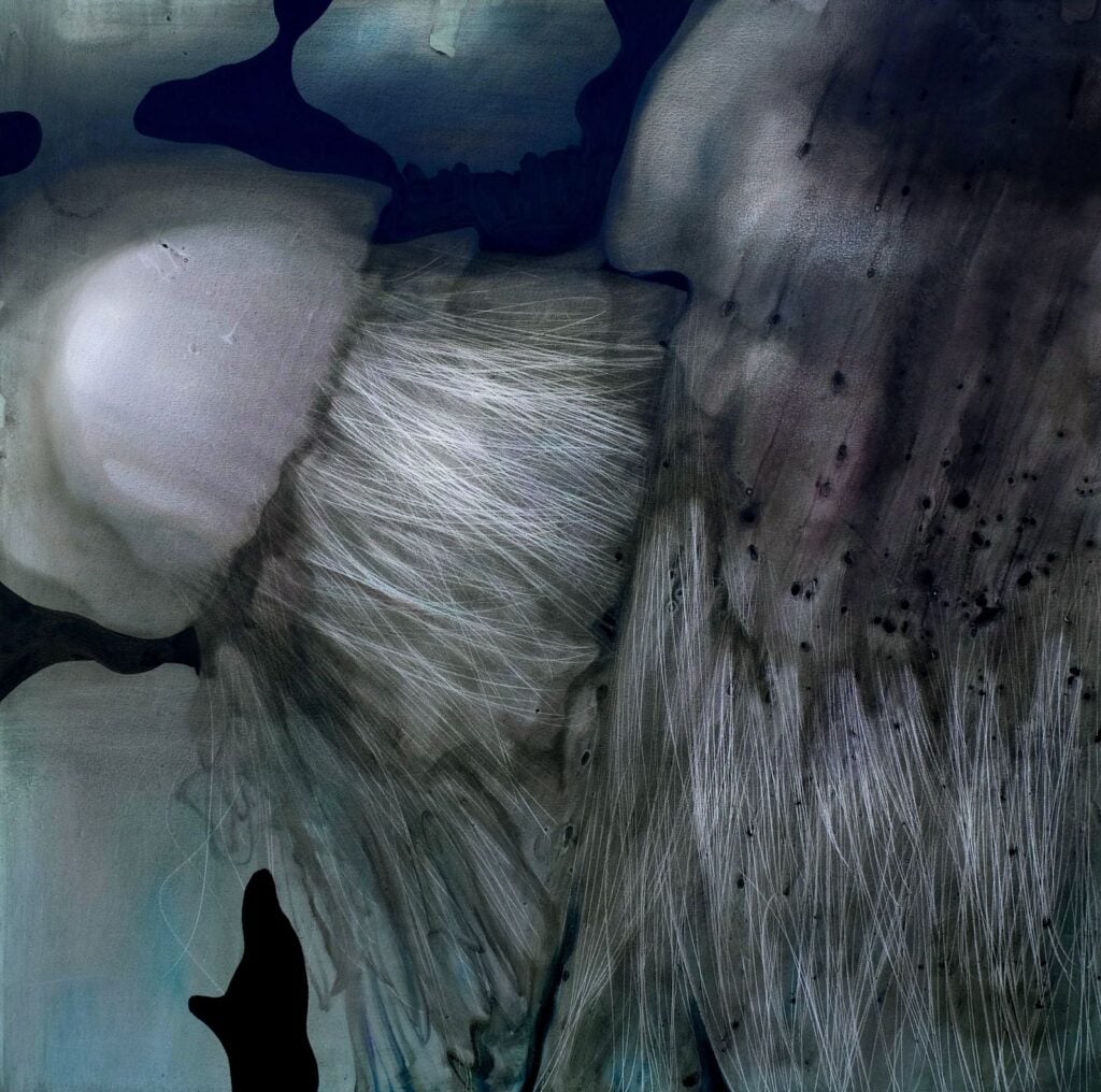 Untitled work from the Jellyfishes series by Levan Songulashvili