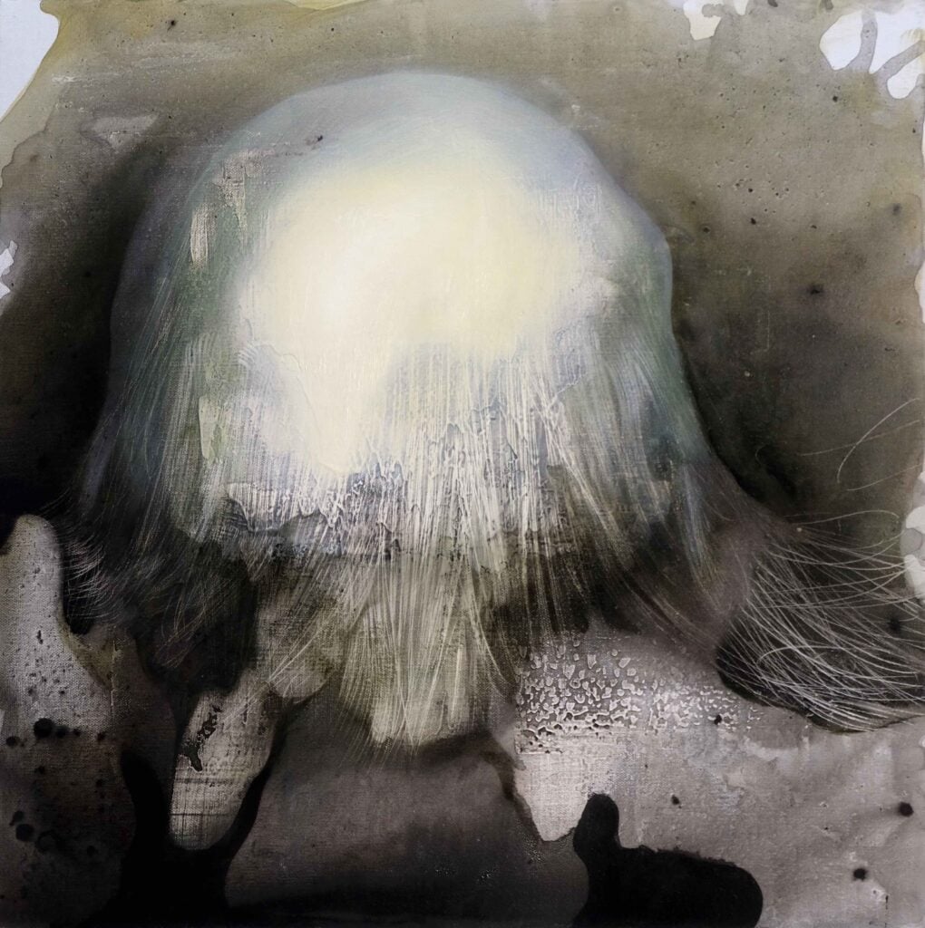 Untitled work from the Jellyfishes series by Levan Songulashvili