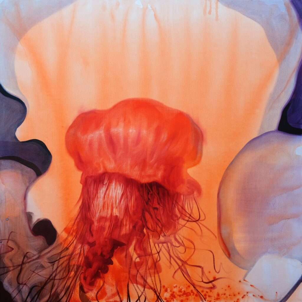 Jellyfish Levan Songulashvili